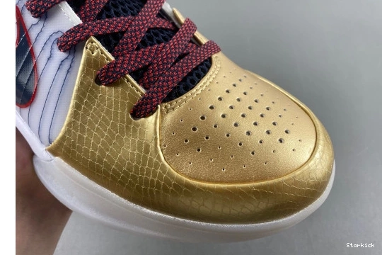 Kobe  Medal 4 (2024) Gold Protro Nike  FQ3544-100 1001